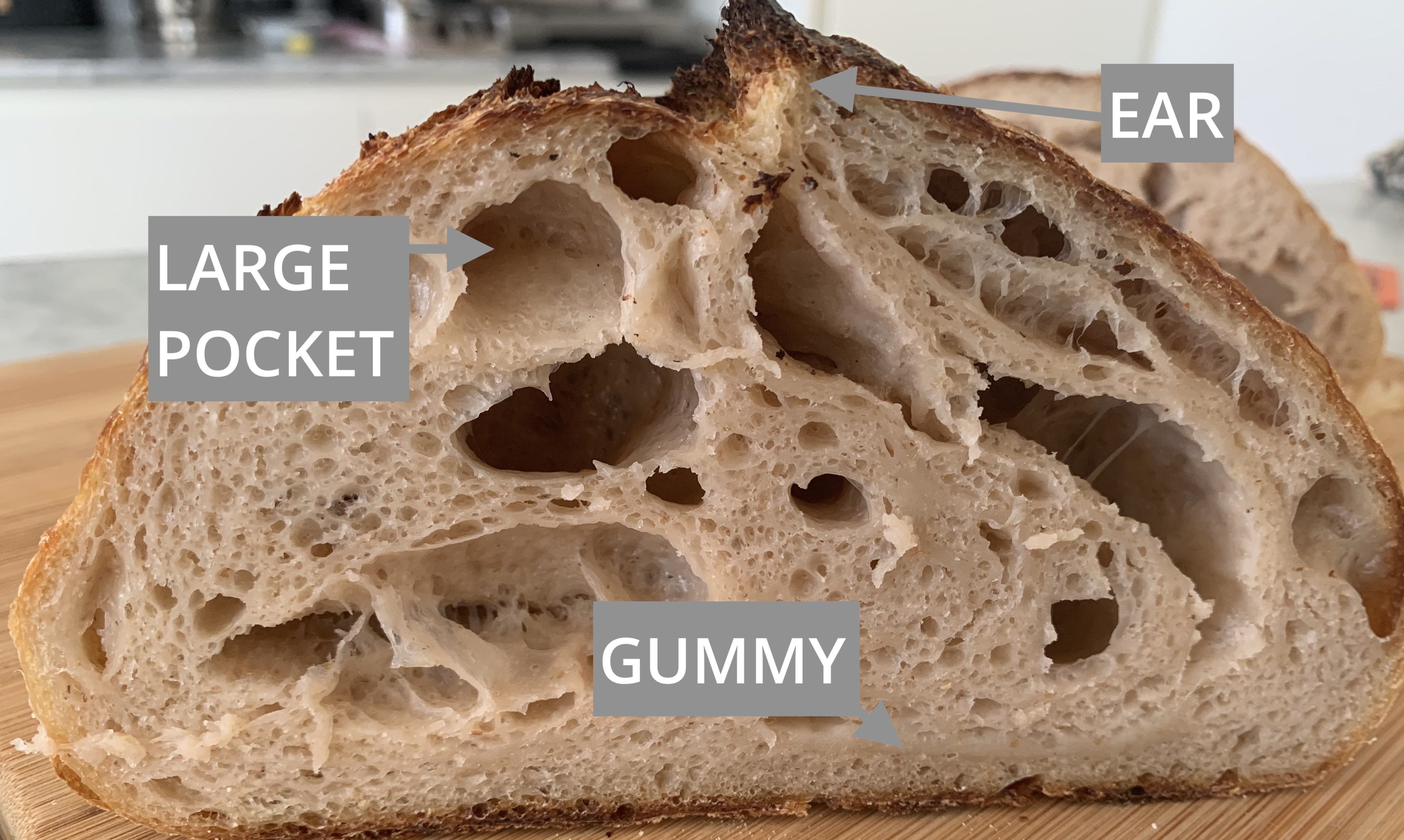 Sourdough Crumb Troubleshooting: Master the Perfect Texture
